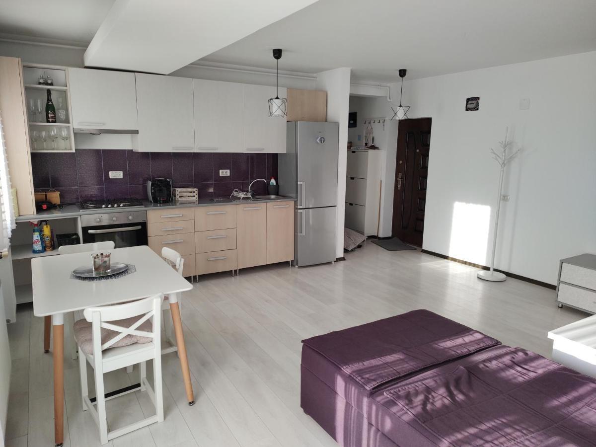 Giurgiului Apartament 布加勒斯特 外观 照片